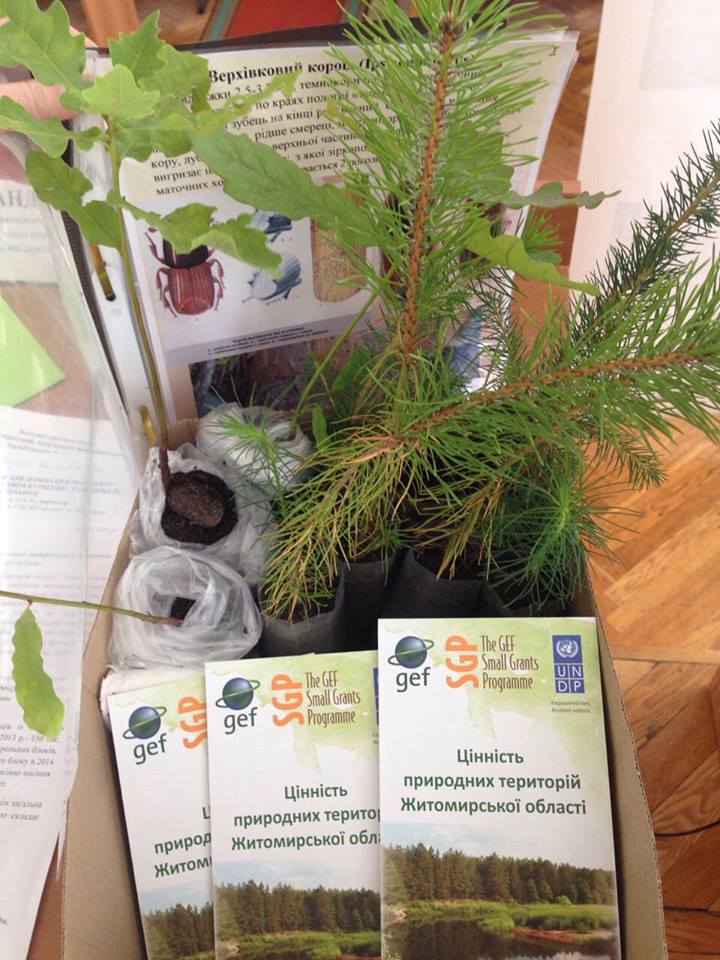 13617606 1221013277931649 1837163836 n