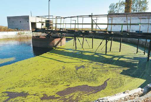 Екопроблеми Херсон обл Очисні споруди міста Скадовська