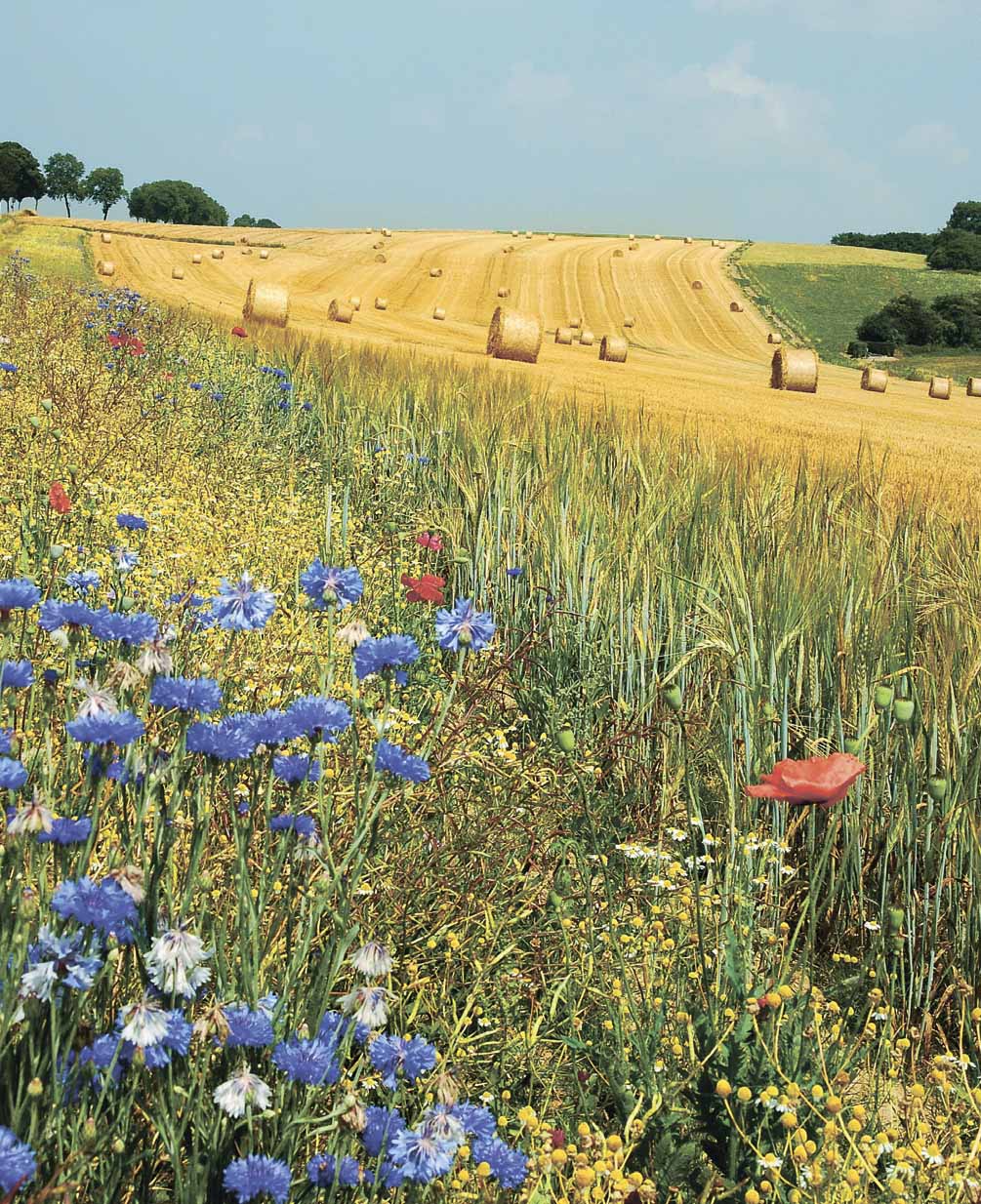 Земельна реформа2