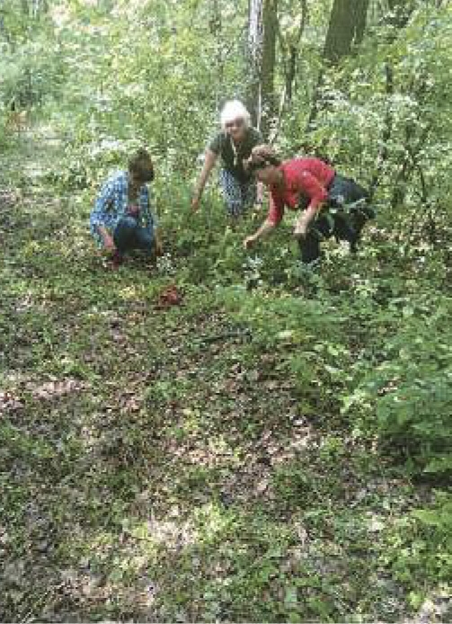 Семінар для голів обласних організаціи 2017 2