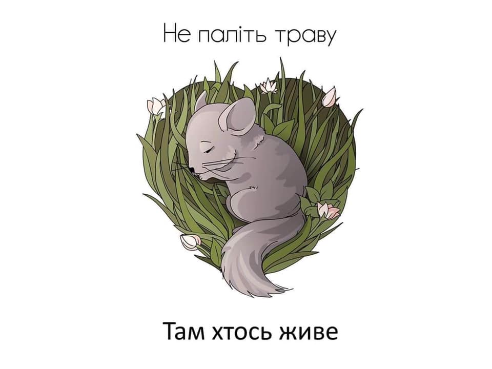 53857847 396563654234061 5756324867582459904 n1