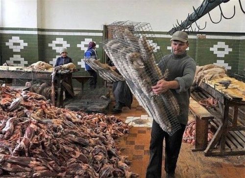 ferma e1482227411383