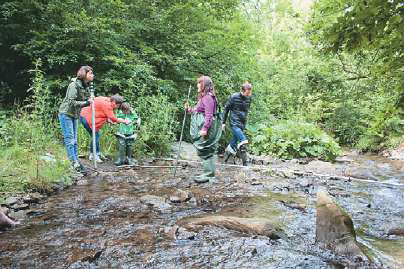 День Дунаю12