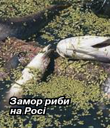 Чи буде у Корсуні чиста питна вода8