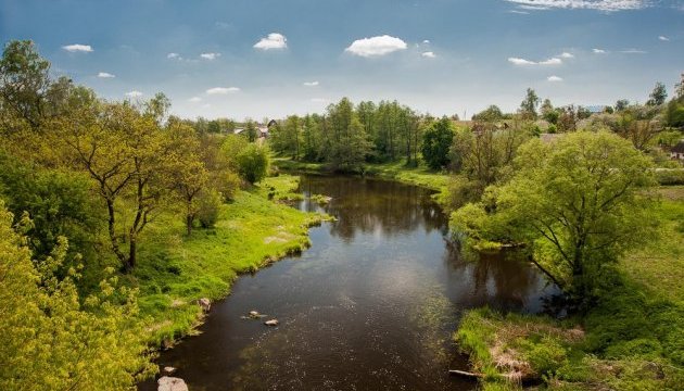 ХомораСлуч4