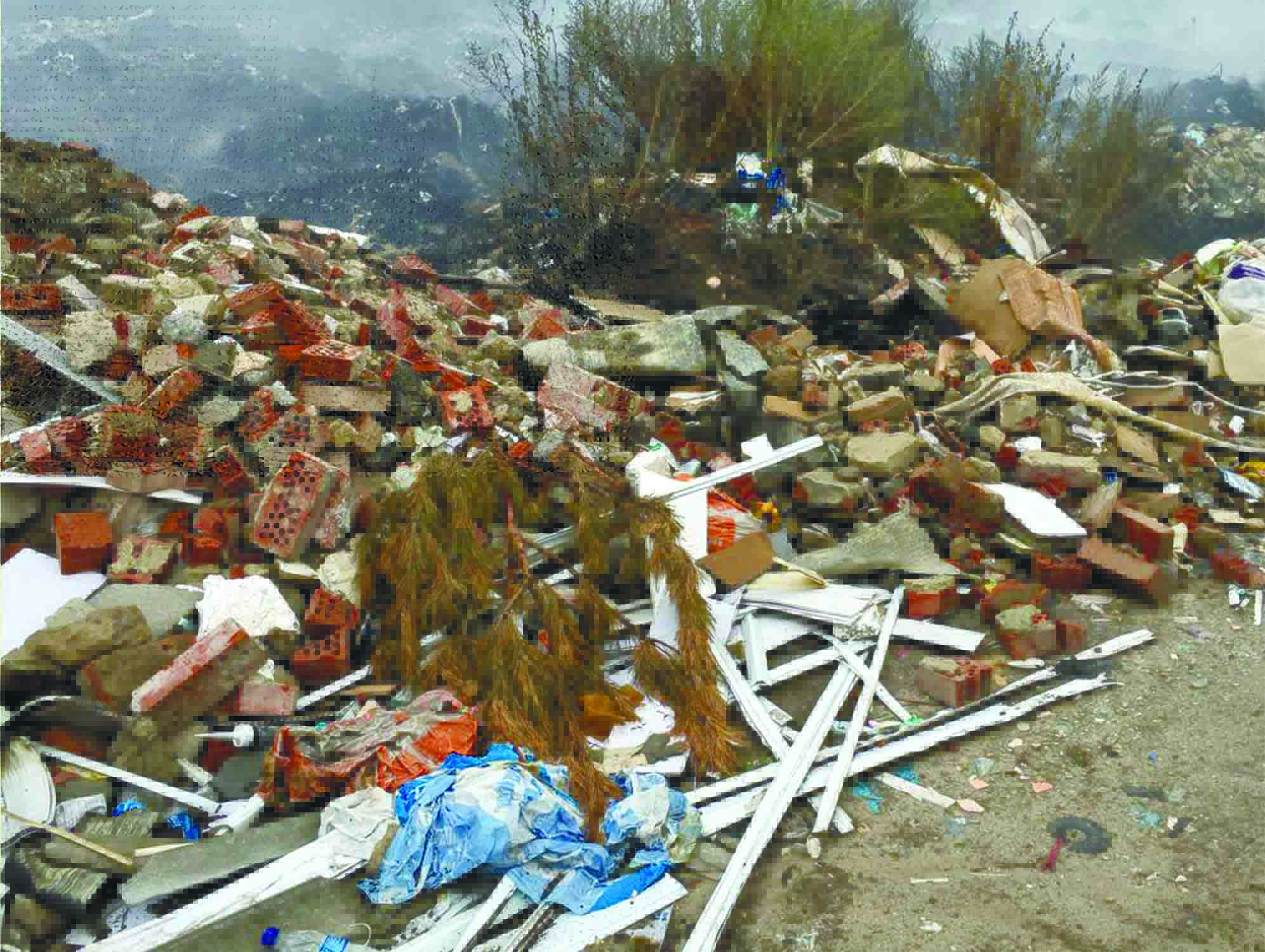 Вигляд неорганізованого сміттєзвалища в Богородичному