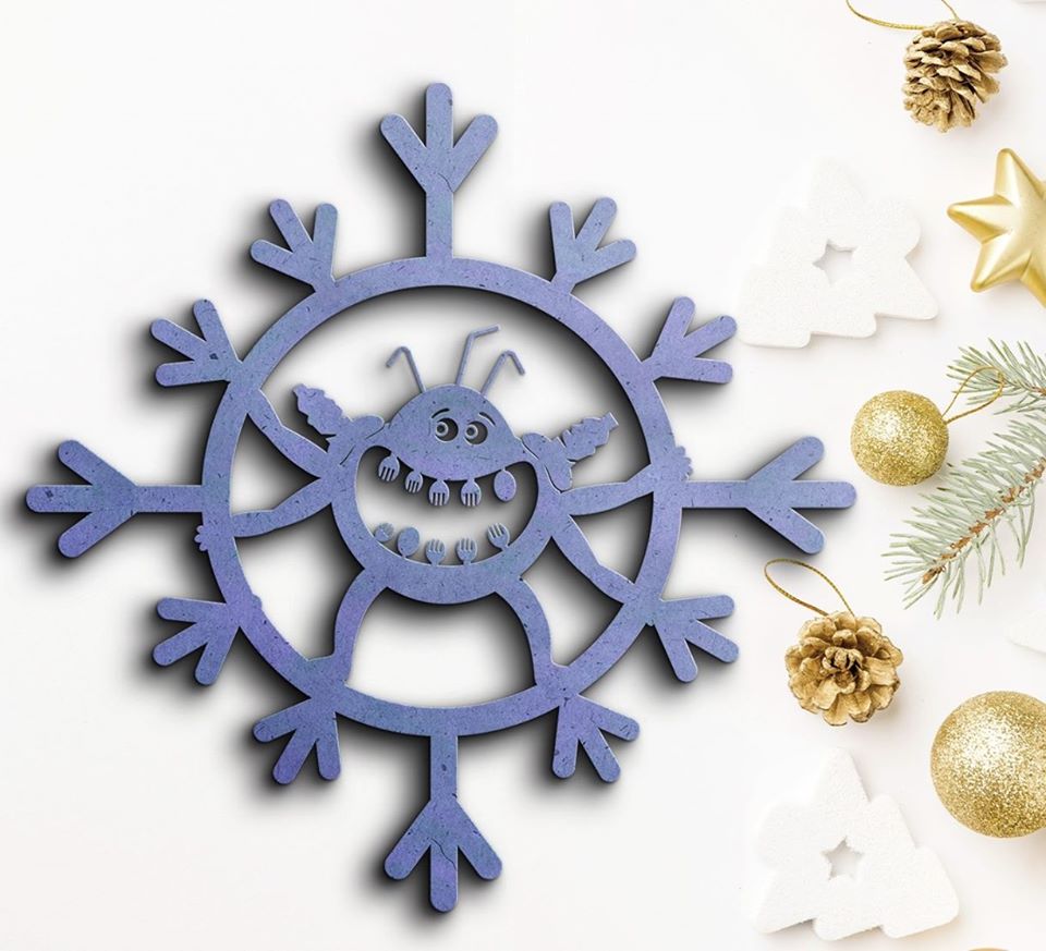 Закарпаття Платикожуй2