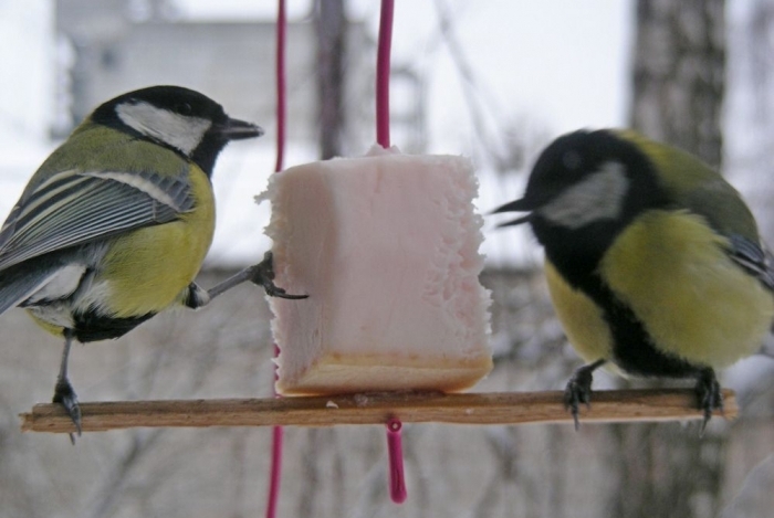 1452881701 f3487f5a31f5f16e9cd54e8731b90832