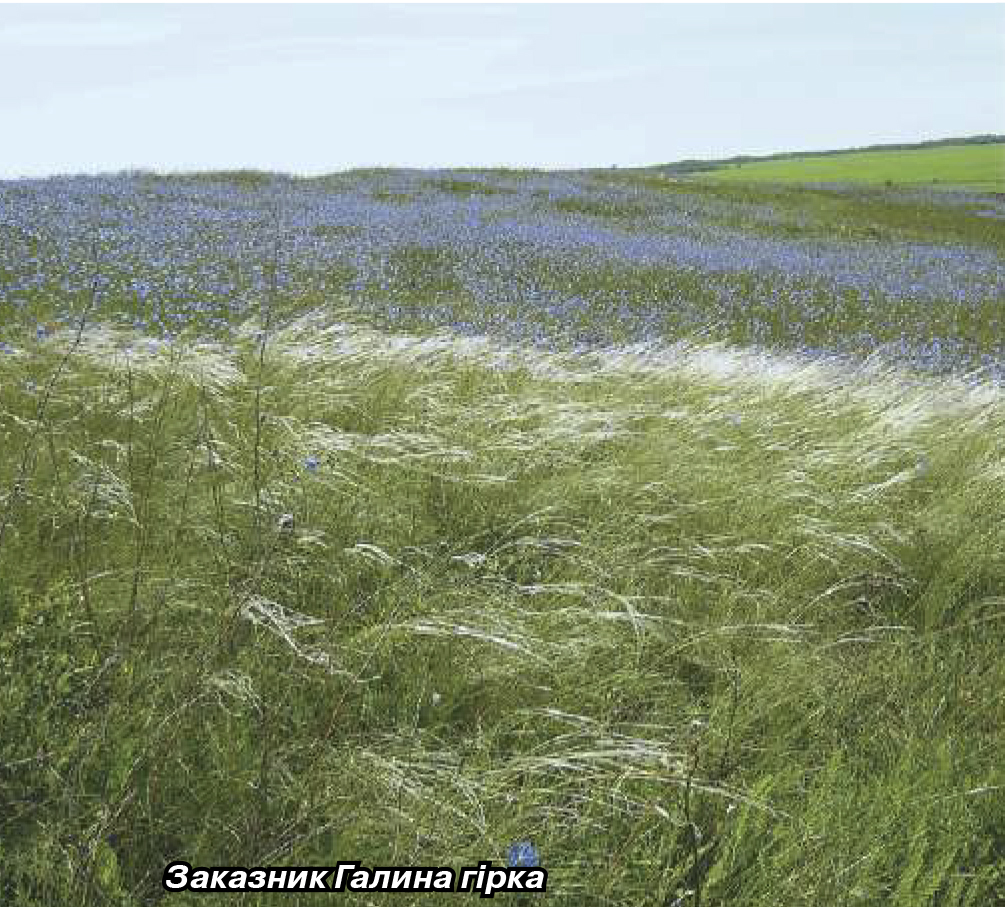 2018 ПЗФ Донеччини1