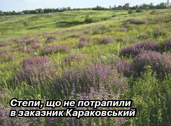 2018 ПЗФ Донеччини2