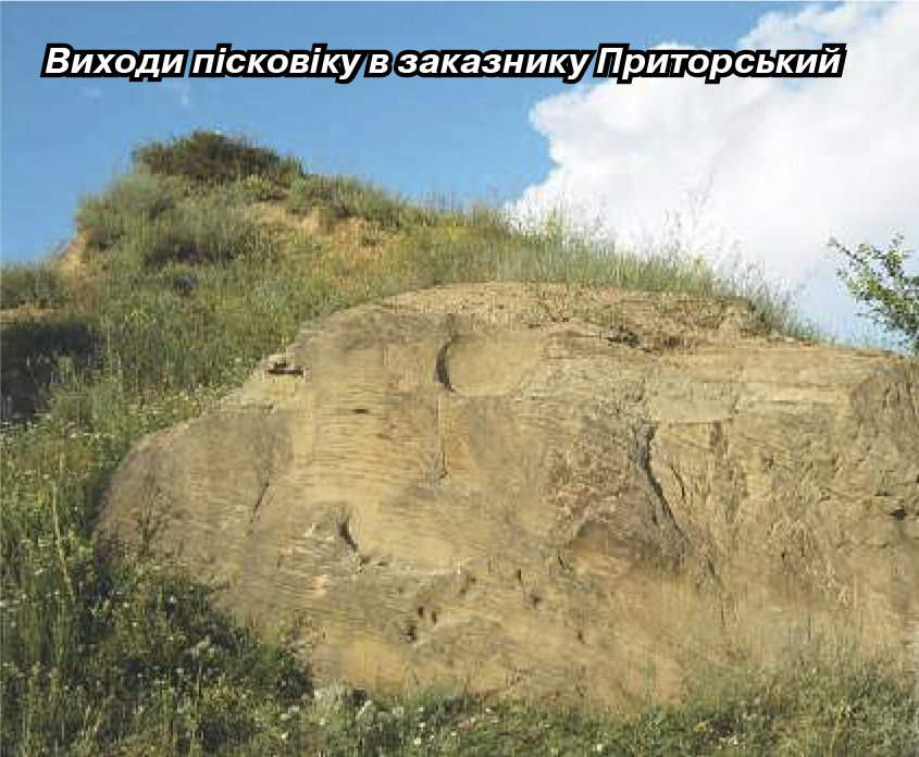 2018 ПЗФ Донеччини4