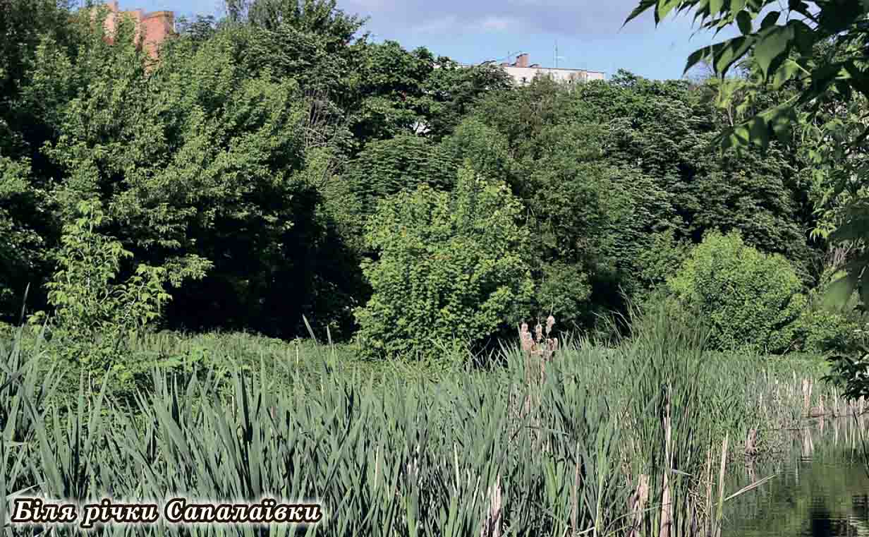 2019 Волинь річка Сапалаівка