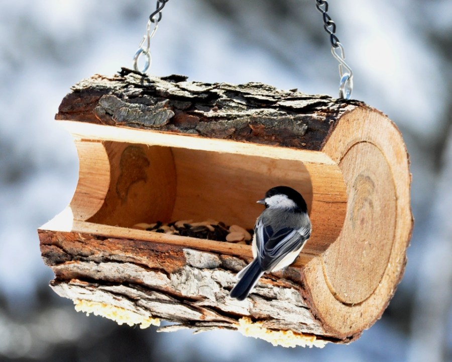 bird house021