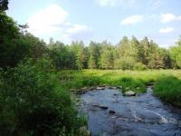 ДЕНЬ ЗАПОВІДНИКІВ_І_НАЦІОНАЛЬНИХ_ПАРКІВ_9