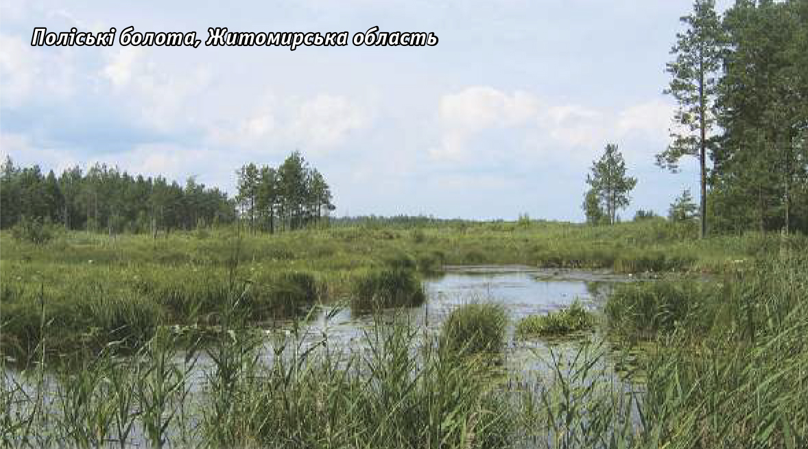 День водно болотних угідь1