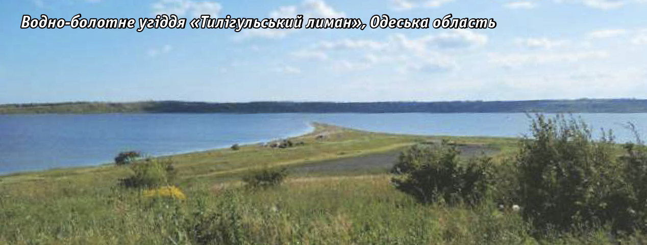 День водно болотних угідь2