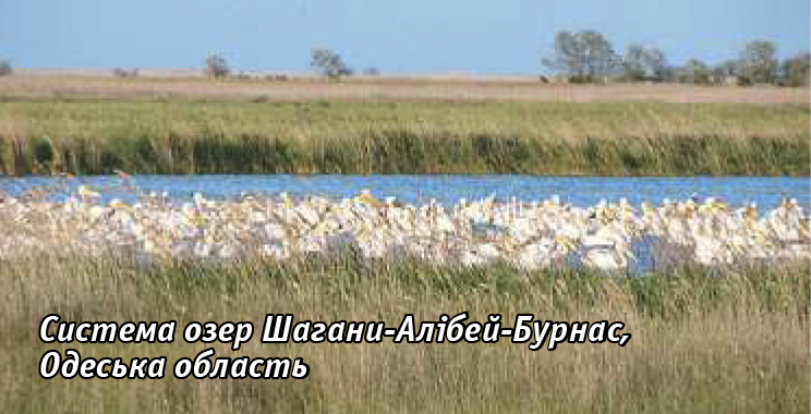День водно болотних угідь3