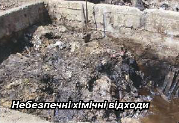 Джуринськии отрутомогильник2