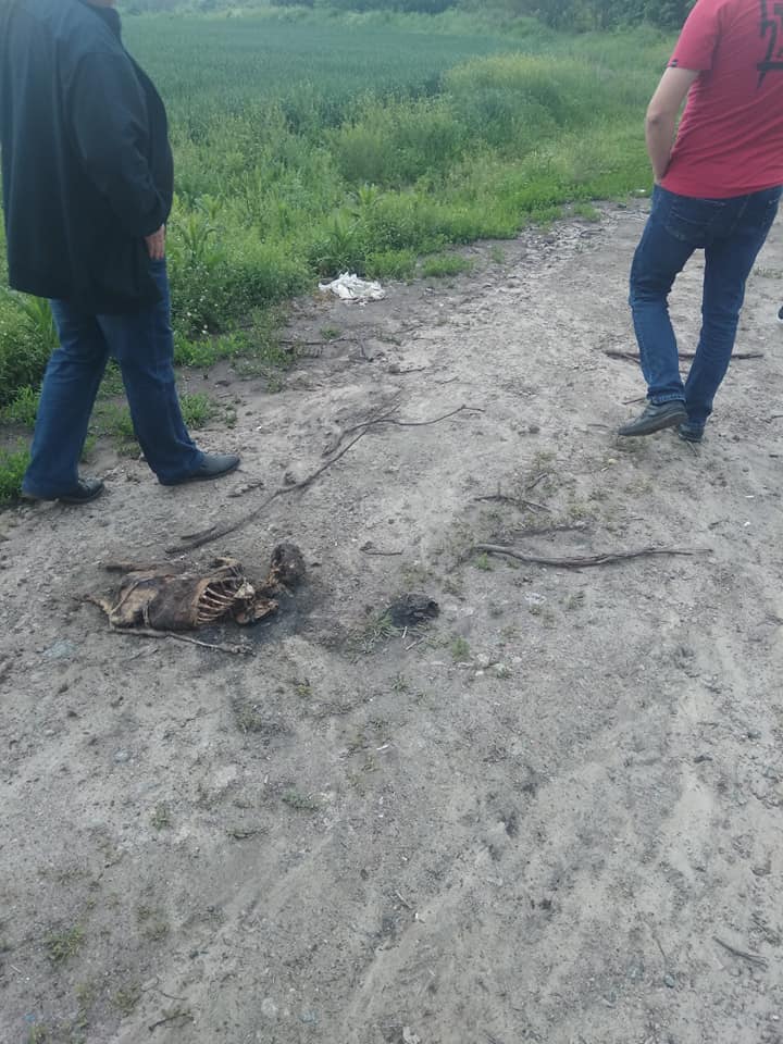 Нарада Корсунь2