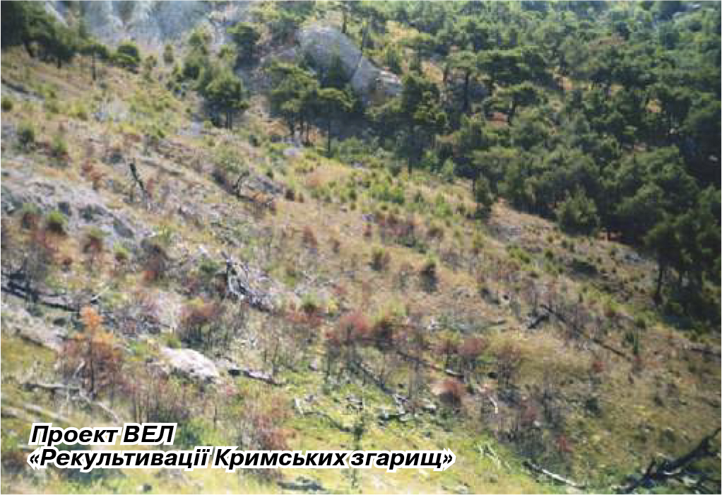 ПЗФ проект рекультиваціі