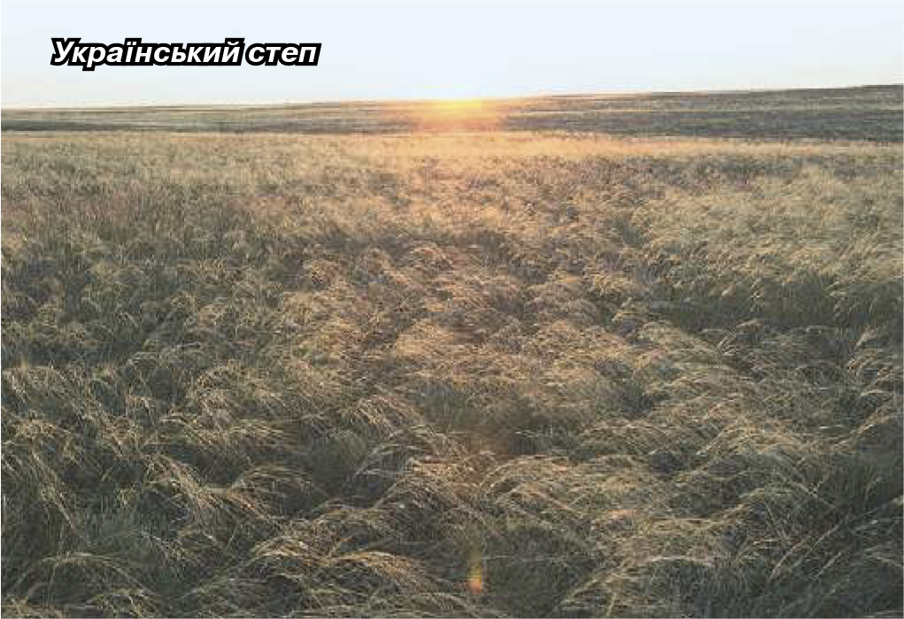 ПЗФ Укр степ