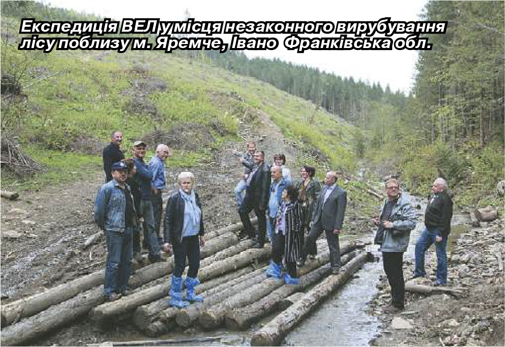 ПЗФ вирубування лісу