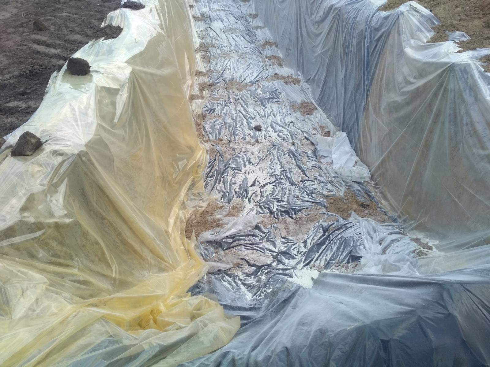 Полтава Загибель куреи7