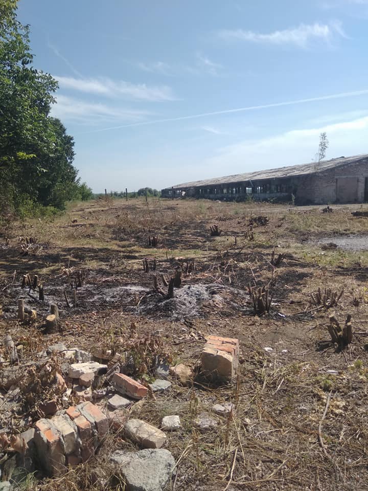 Птахофермі Черкащина4