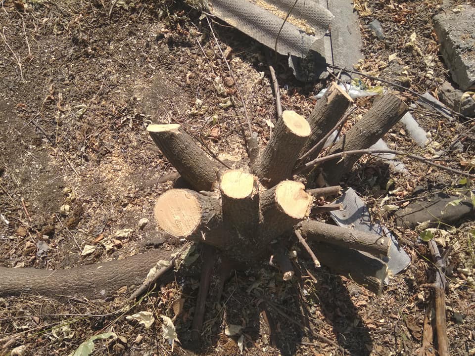 Птахофермі Черкащина5