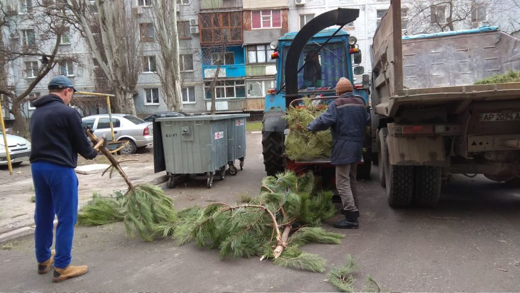 ялинки після свят3