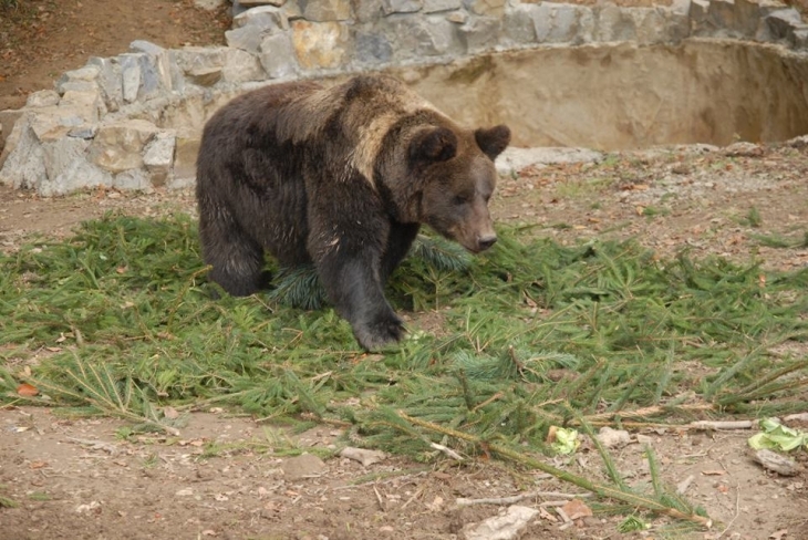 22279758 874027202756353 8983332608778662326 n