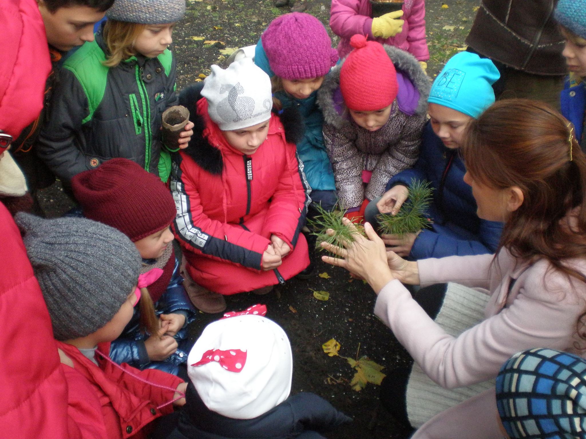 22712362 1646793045395839 3091634241879677851 o