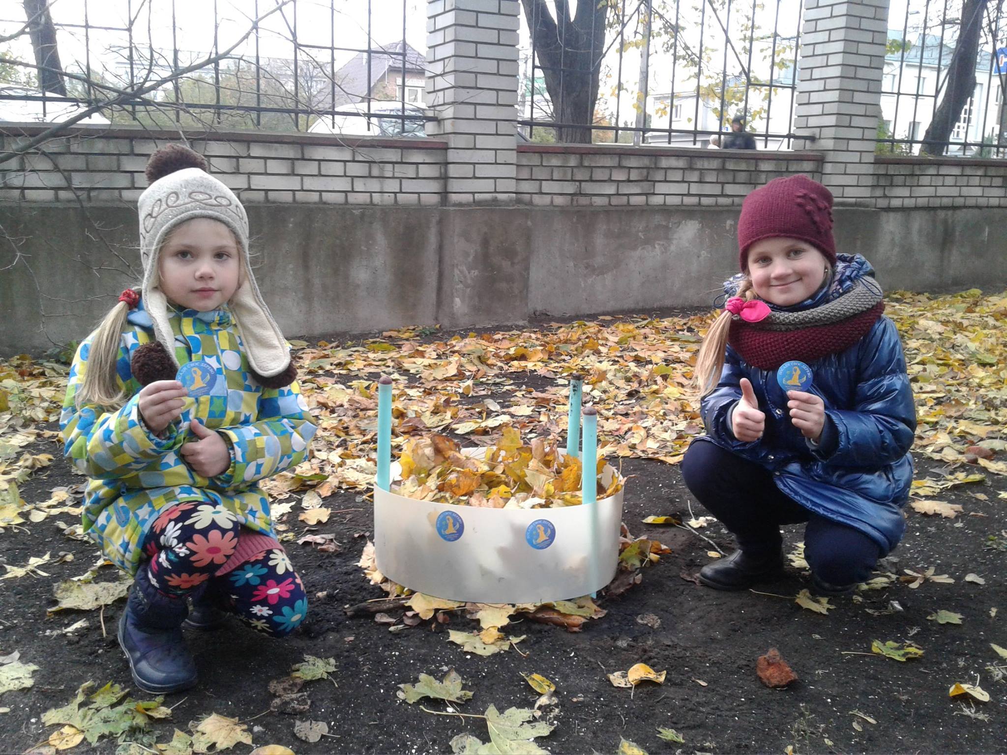 22829237 1646792978729179 8184238394143139137 o