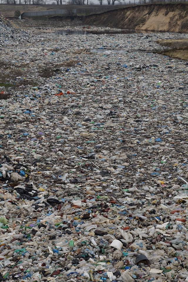 30184887 1900492853317018 455635193 n