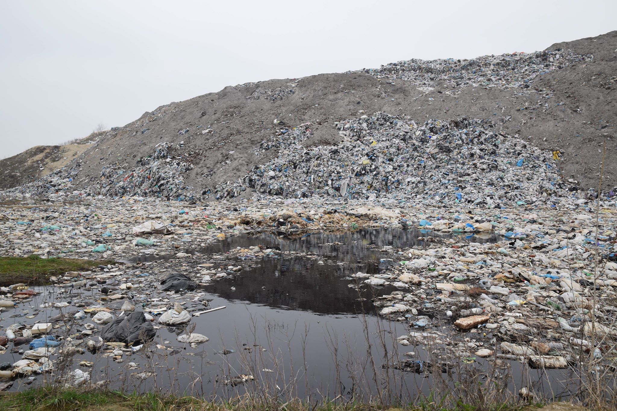 30546412 1900496249983345 662110499 o