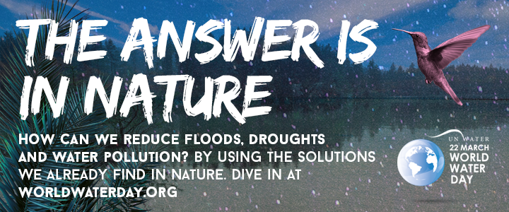 720x300 WWD2018 banner