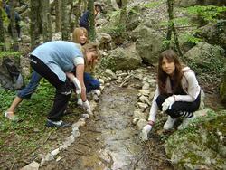 akcii strumok_sevastopol