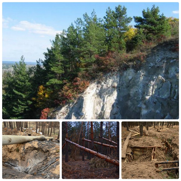 collage photocat мал