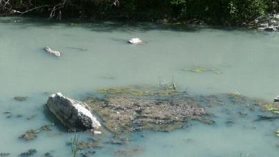 homora homora6 404x227 1