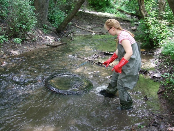 10390371 652364808167114 4747920821923697427 n