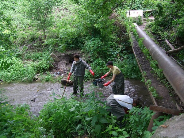 10441337 652364884833773 7680783378088524369 n