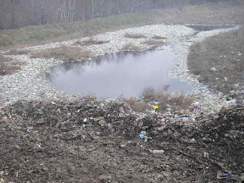 Ставок фільтрату поблизу Стадницького сміттєзвалища